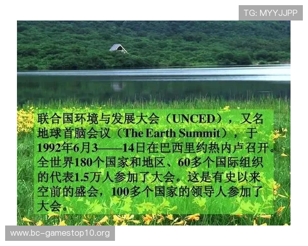 N1国际引领全球教育合作与创新发展新趋势探索